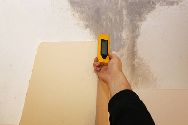 Best Attic Mold Removal  in Centre Grove, NJ