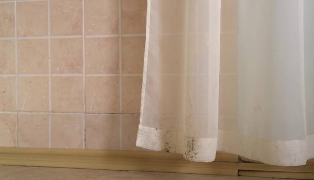 Best Water Damage & Mold Remediation  in Centre Grove, NJ