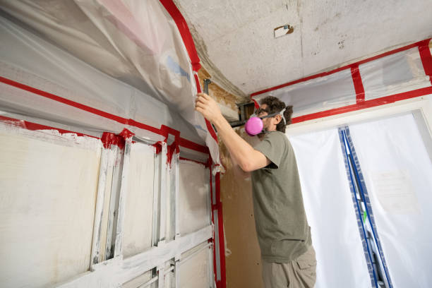 Best Crawl Space Mold Remediation  in Centre Grove, NJ