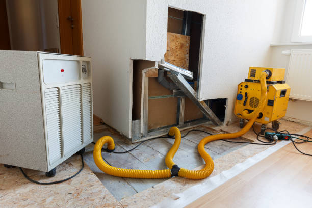 Best Mold Removal for HVAC Installations  in Centre Grove, NJ